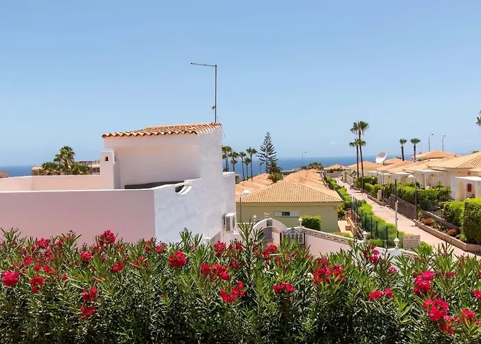 Clariana * 칼라오살바헤